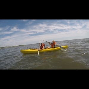 Meet your Posher, Riley